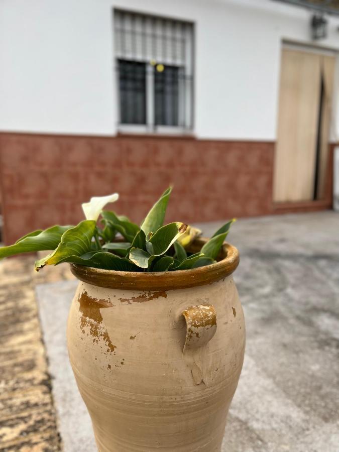 Agua De Verano San Bartolomé de la Torre エクステリア 写真